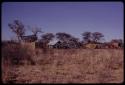 Expedition camp, distant view