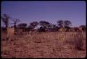 Expedition camp, distant view