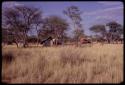 Expedition camp, distant view