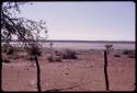 Pan, view from expedition camp