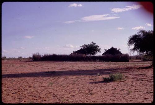 Huts and brush fence of Boy Moapane, brother of the Kgalagari chief, distant view