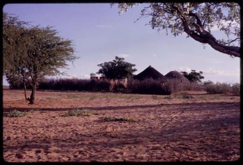 Huts and brush fence of Boy Moapane, brother of the Kgalagari chief, distant view