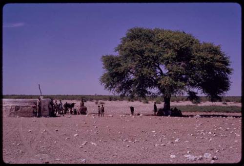 Waterhole at a store