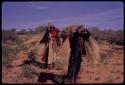 Women carrying coarse long grass to be used for thatch