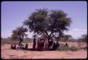 Group of women standing under a tree, being sound-recorded, with another group of women sitting under a tree near them