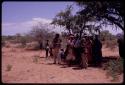 Group of women standing under a tree, being sound-recorded