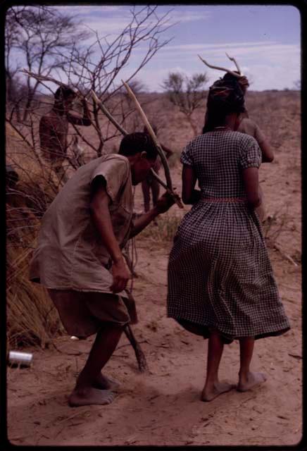 ≠Kxoba (wife of Tchobe) and Twi dancing in the Eland Dance, with Twi holding up eland horns made from forked sticks