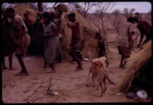 Group of people performing the Eland Dance in front of a skerm, including ≠Kxoba, /Gaishay holding horns to his head, and !Kxam and Twi imitating elands butting each other