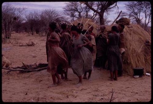 !Ani and ≠Kxoba dancing with a group of people performing the Eland Dance in front of a skerm