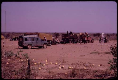 Inspectors searching for animals parts on expedition trucks before they can pass through a cattle barrier at the Mabeleapodi gate