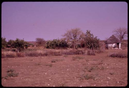 View of George Kryriacou's house