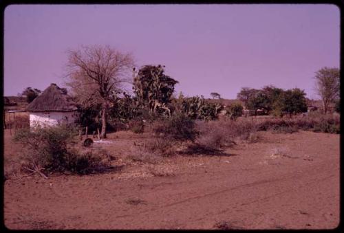 View of George Kryriacou's house