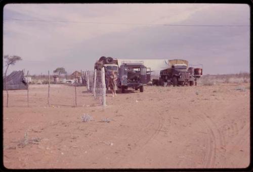 Lorna Marshall wearing a dress and standing in front of expedition trucks