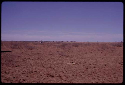 Nicholas England riding on a white horse from a distance