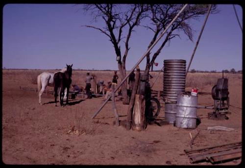 Group of women filling their receptacles and the water being pumped into a trough, with two horses waiting