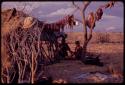 Dadum and Tama (her husband) sitting and working at her skerm, with gnu meat hanging over them and expedition Land Rover in the background