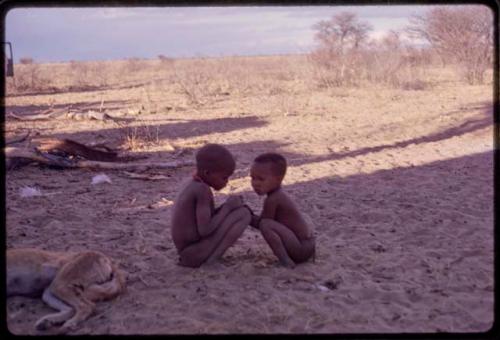 Children playing in the sand, with a dog asleep beside them