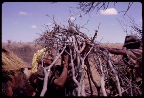 !Ani weaving the twigs together at the top of a skerm, with ≠Kxoba (?) reaching up to twist twigs together