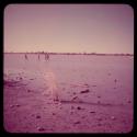 Scenery: Girls standing in shallow water in a pan, distant view