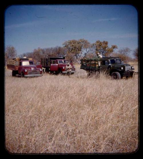 Expedition trucks loaded with men