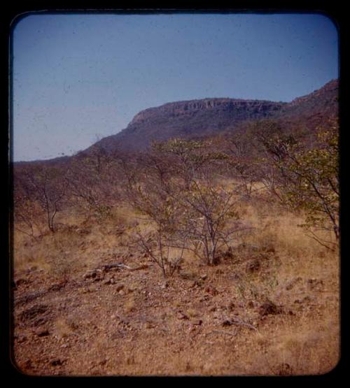 Road from Ruacana to Chitado