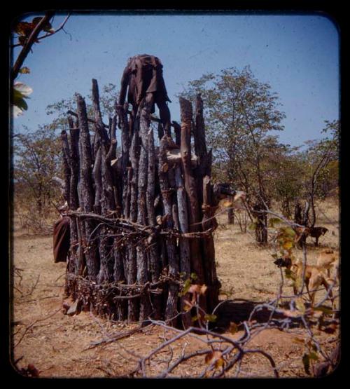 Man standing on the top of a trap, seen from behind