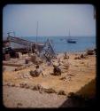 Group of people drying fish at Porto Alexandre