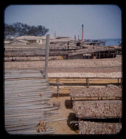 View of drying fish at Porto Alexandre