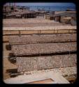 View of drying fish at Porto Alexandre