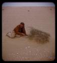 Charles Koch sitting on sand and holding a shrub