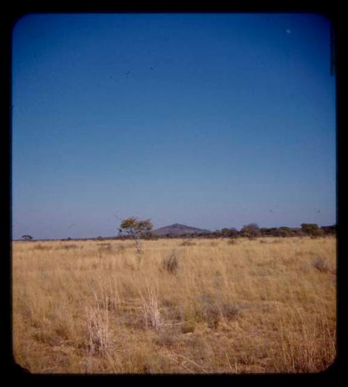 View of Aha Mountains