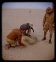 Charles Koch, Eric Williams, and Petrus collecting specimens from sand