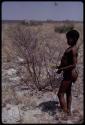 Boy holding a stick with poison beetle cocoon