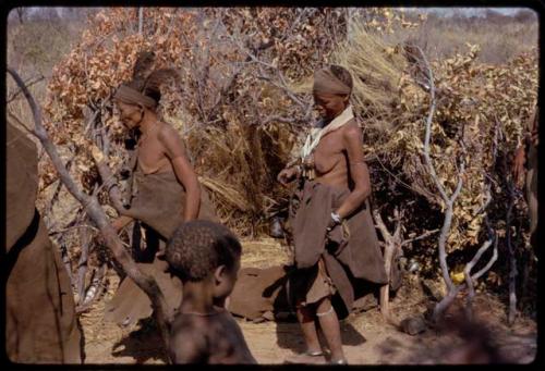 Women dancing around a skerm in which a girl pretending to be in her first menstruation ceremony is lying, her kaross on the ground