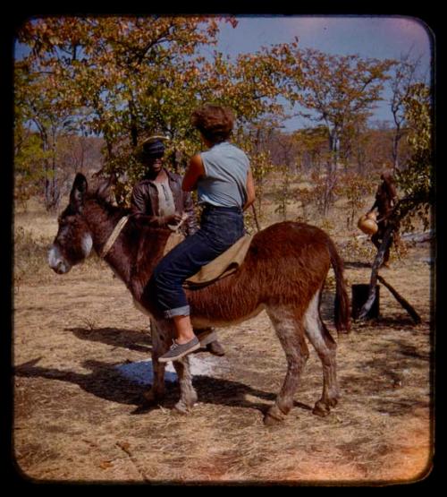 Elizabeth Marshall Thomas riding a donkey (image obscured)