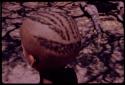 View of the back of a boy's head, close-up