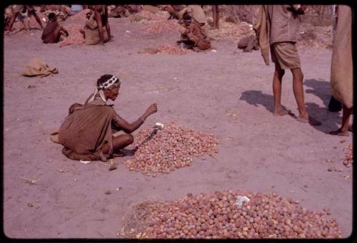 Woman sitting by pile of mangetti nuts