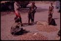 /Gaishay, Khwo//o-/Gasa, /Naoka, and another person standing; //Khuga and "Gao Medicine" sitting by mangetti nut piles