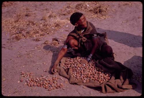 Woman sitting, packing up her nuts