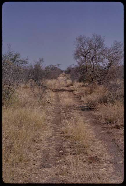 Tsumkwe-border road