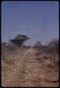 Tsumkwe-border road