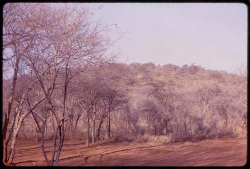 Expedition camp site at base of Aha hills