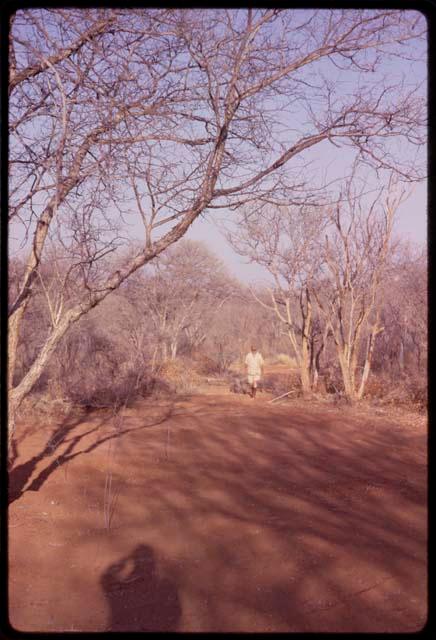 Expedition camp site at base of Aha hills