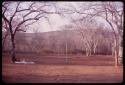 Expedition camp site at base of Aha hills, Lorna Marshall's lounging place at the base of a tree