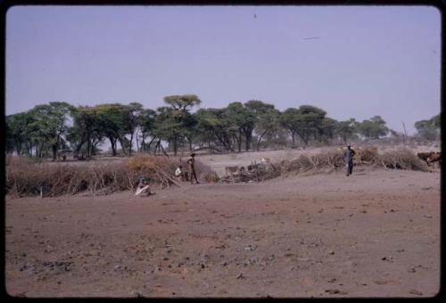 Two people standing by brush around a waterhole to keep the animals out