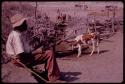 Man sitting by the watering trough smoking a pipe