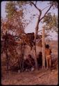 People sitting by a tree where their belongings hang