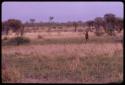 Person walking in a field, seen in the distance