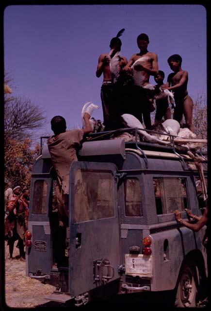 Men on top of expedition Land Rover to carry dead ostrich down