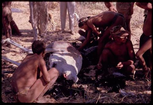 /Tikay and other people squatting around a dead ostrich